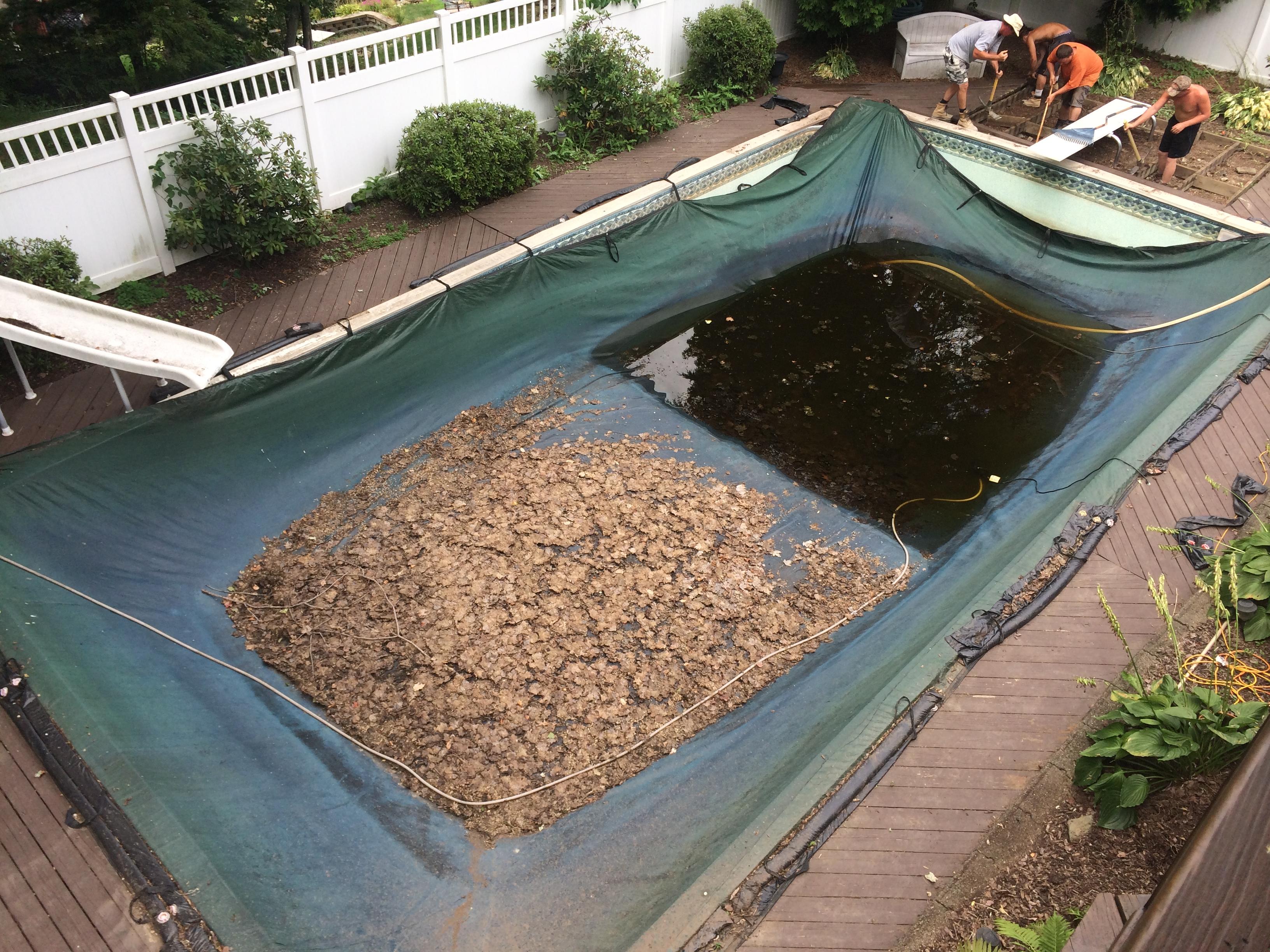 Openings and Closings